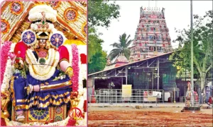Read more about the article Celebrating Tradition: The Vibrant Pattukkottai Nadiyamman Kovil Ther Thiruvizha